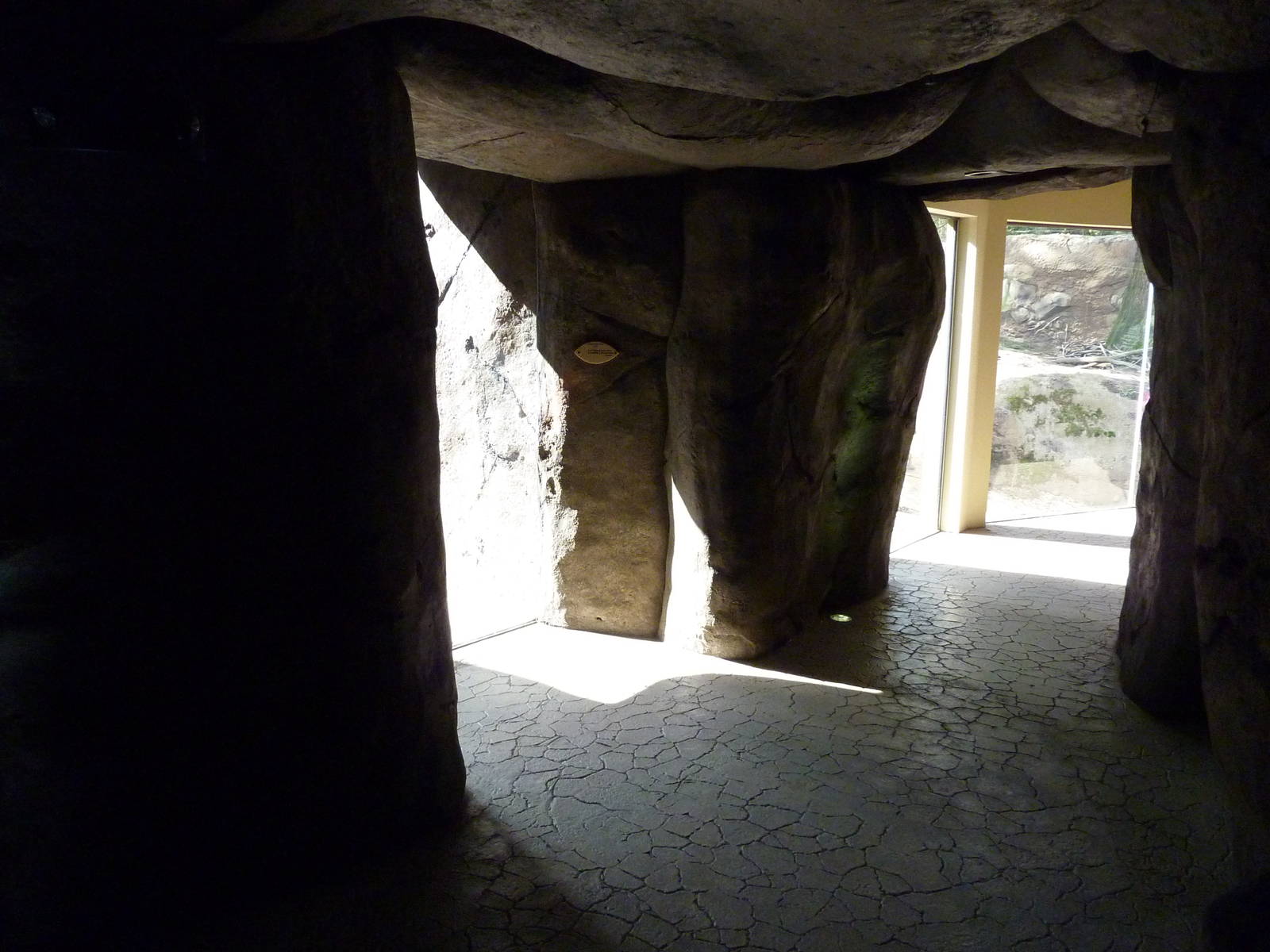 Cheetah Exhibit - Viewing Windows