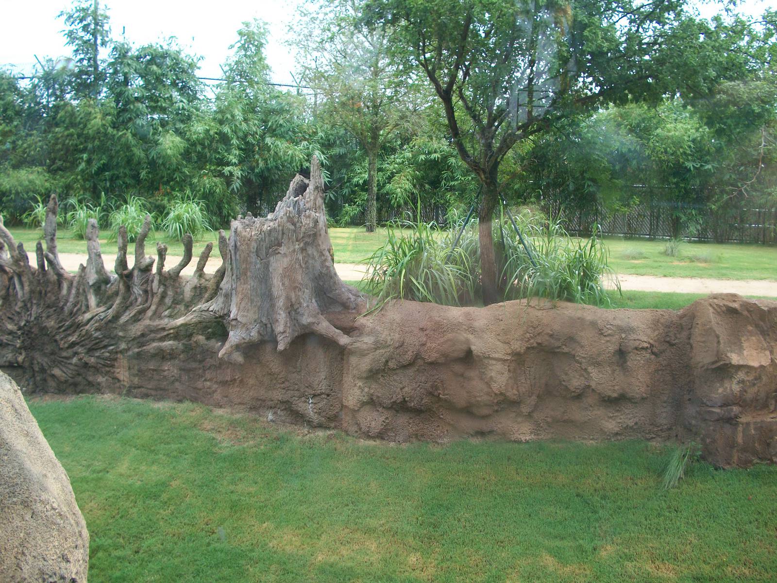 Cheetah Exhibit