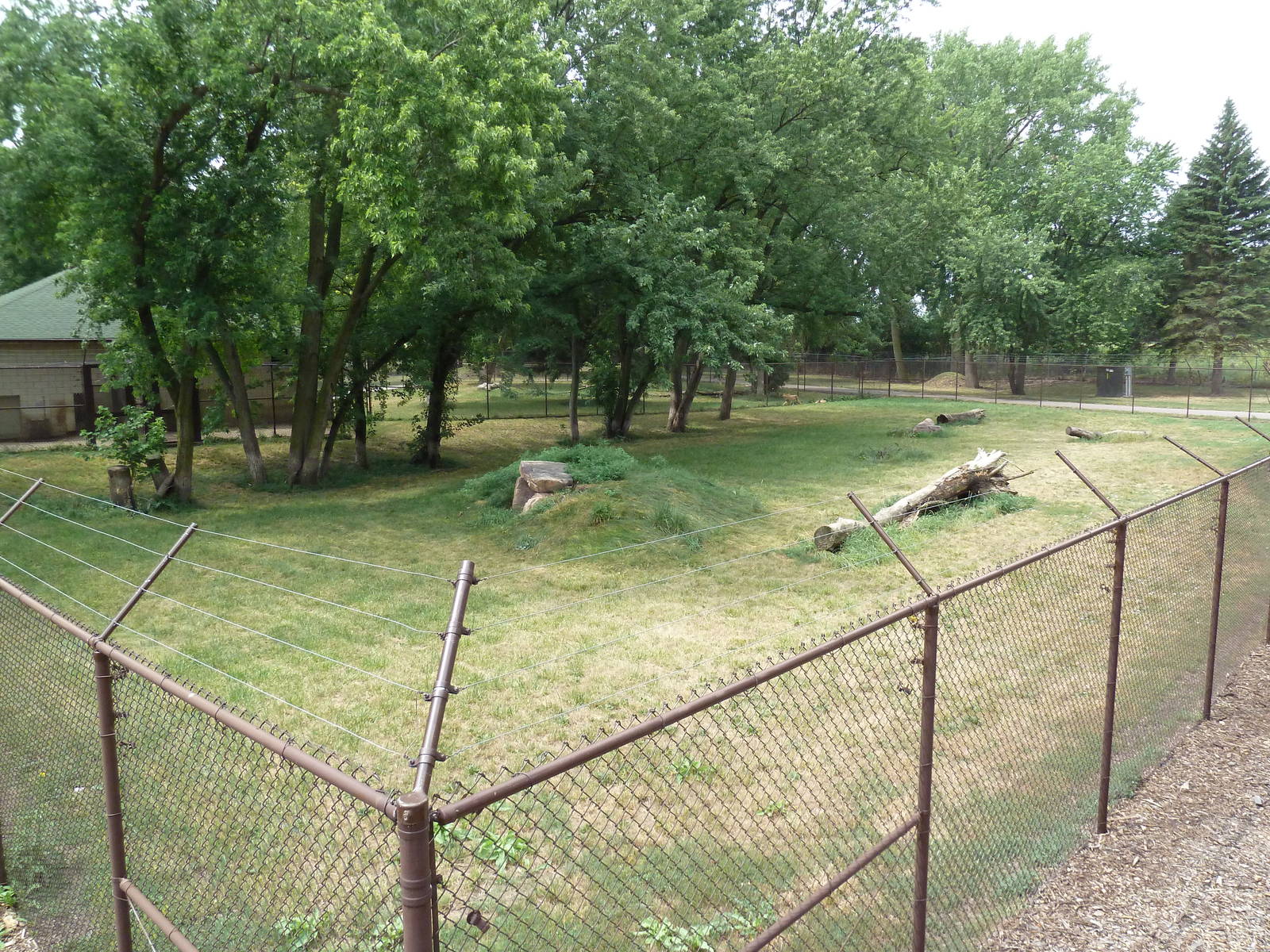 Cheetah Exhibit