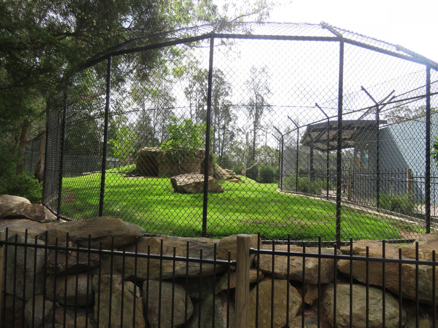 Cheetah Exhibit