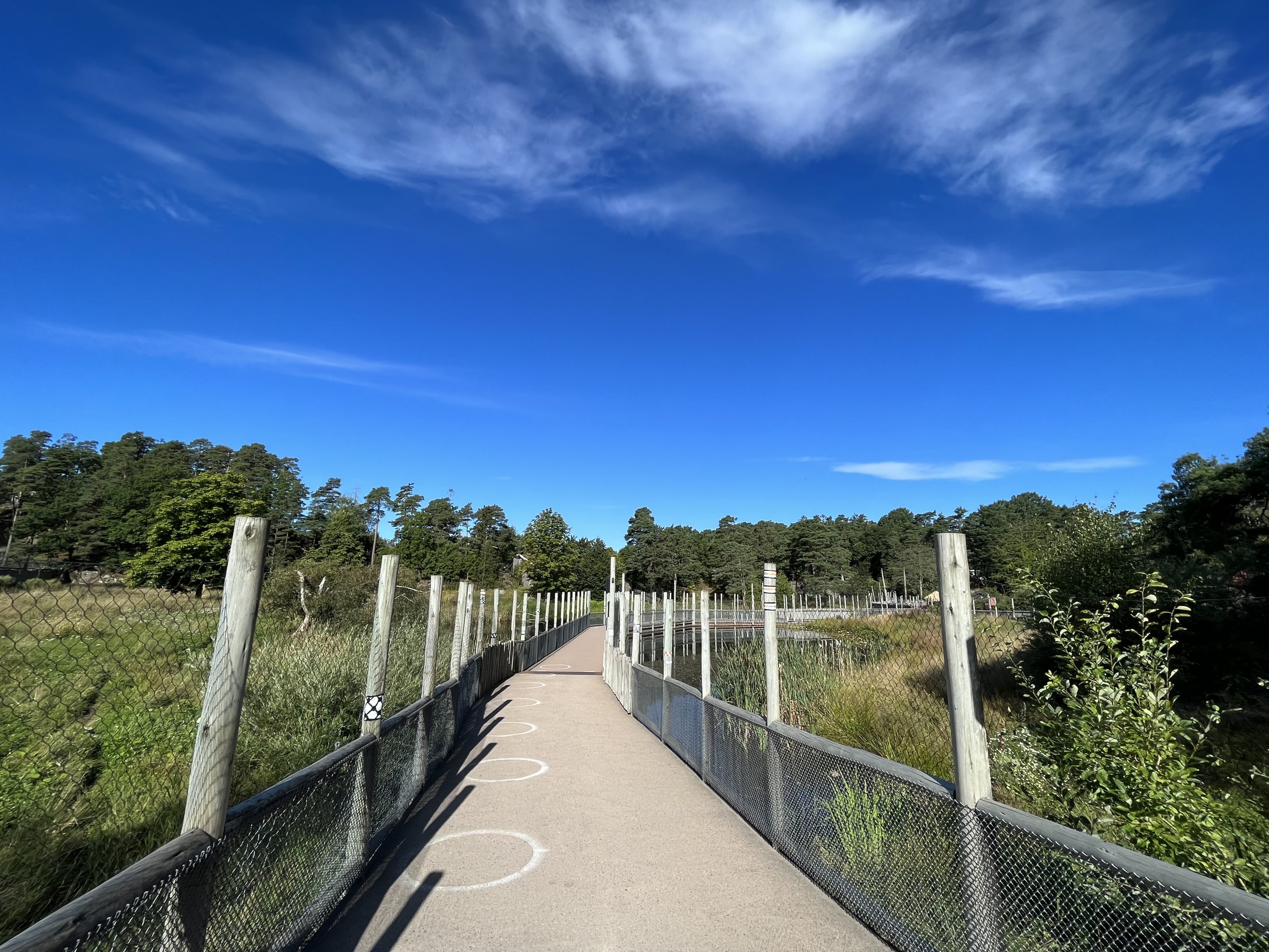 Cheetah Exhibits (#1 + #2)