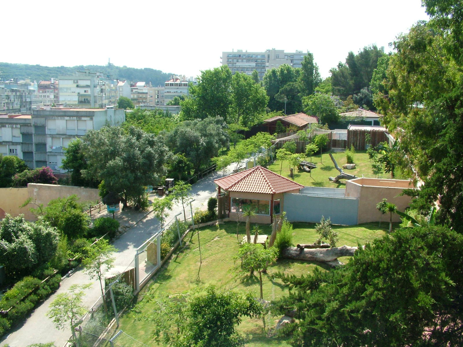 Cheetah Exhibits at Lisbon Zoo, 24/05/11