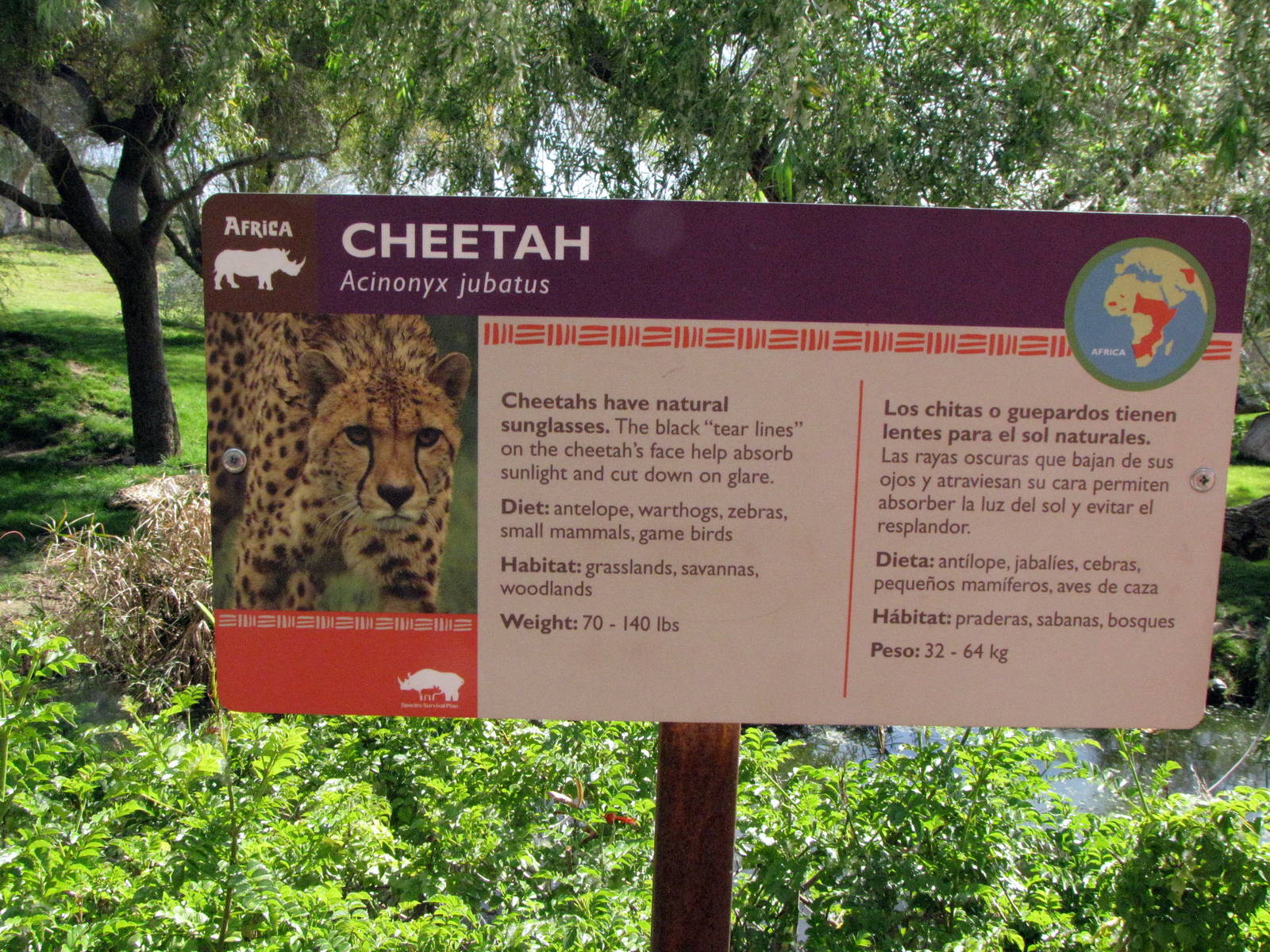 Cheetah Habitat Signage