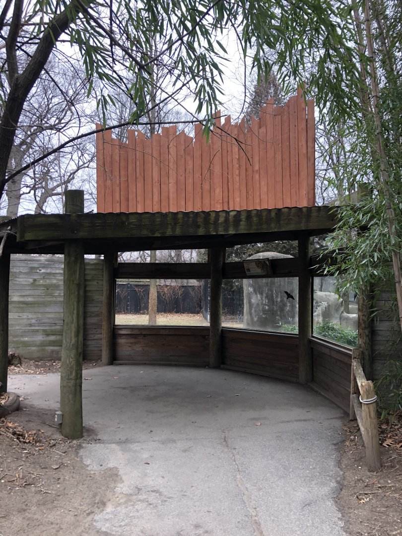 Cheetah Habitat Viewing (Left Side) - Feb, 2020