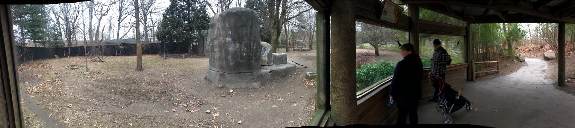 Cheetah Habitat Viewing (Left Side) Panorama - Feb, 2020