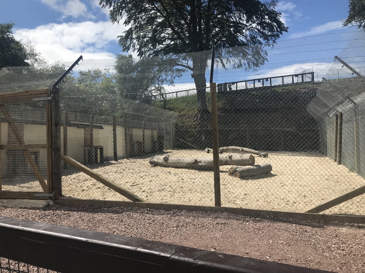 Cheetah holding area (2)