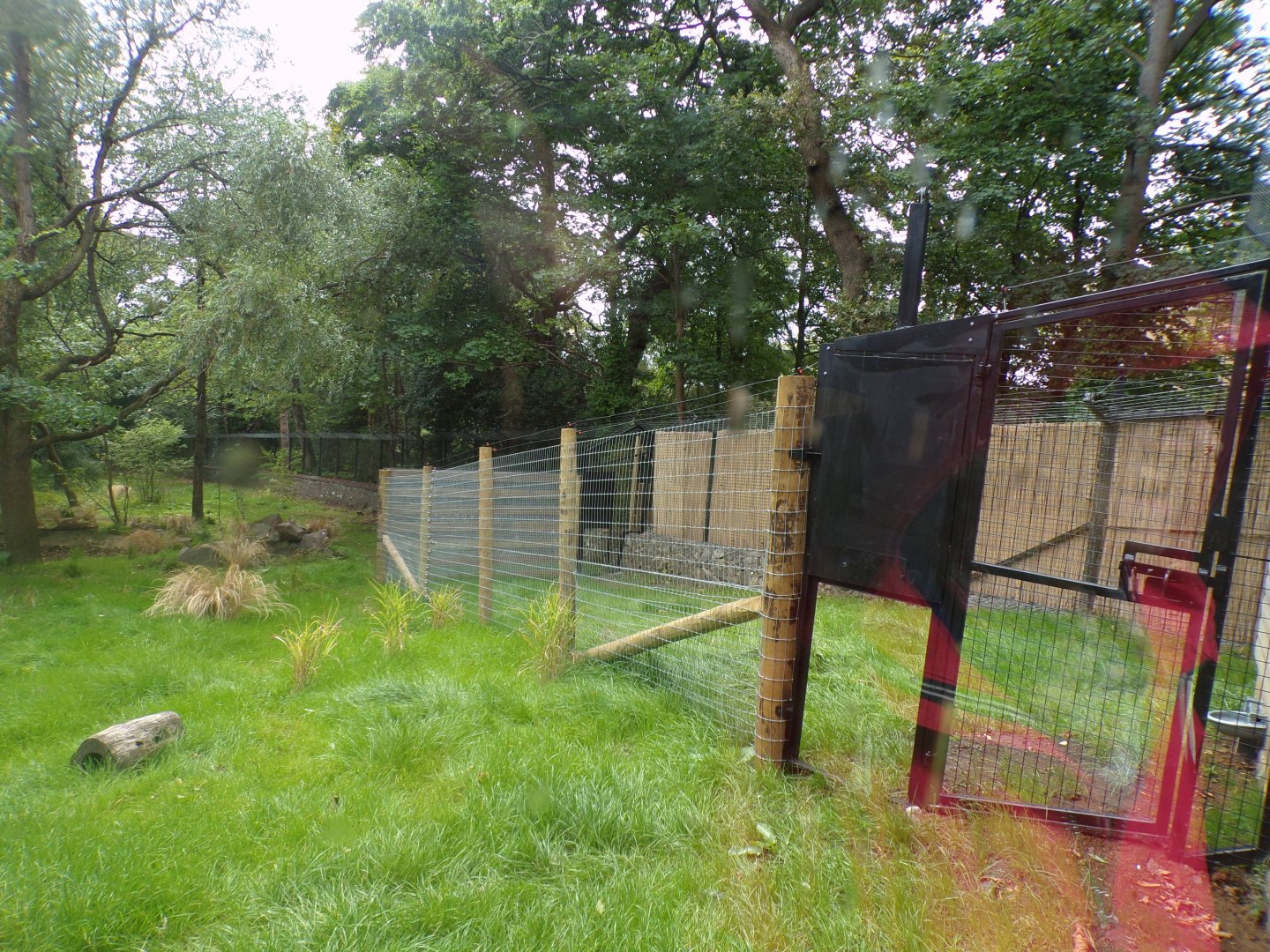 Cheetah holding area 25.8.24