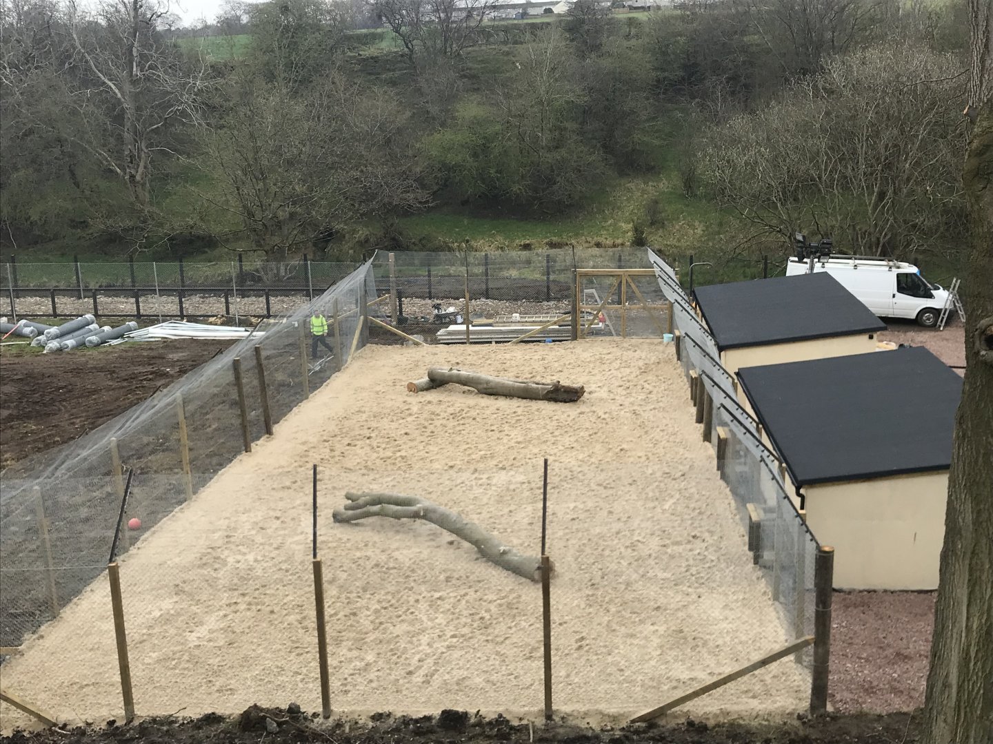 Cheetah holding area