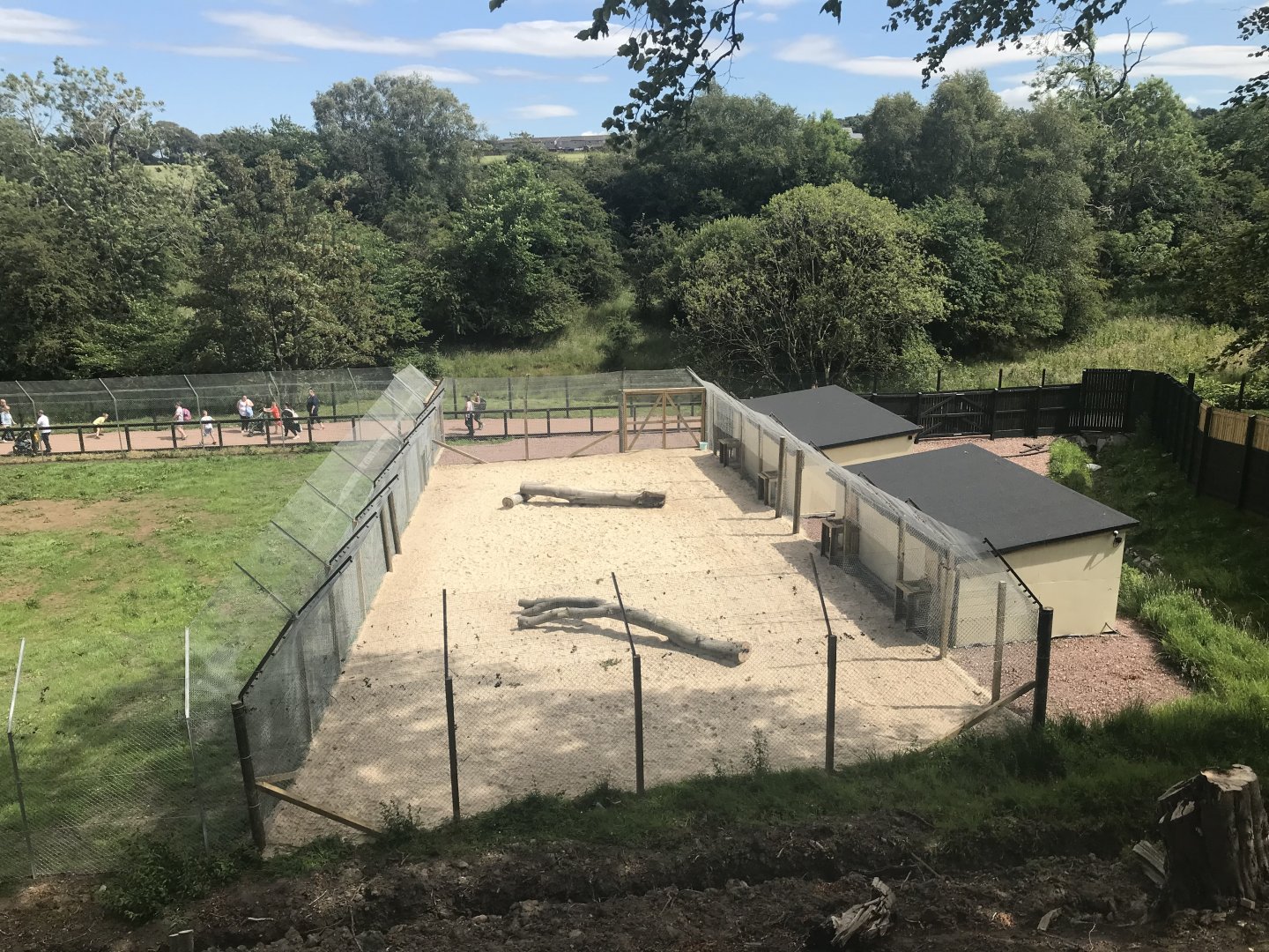 Cheetah holding area