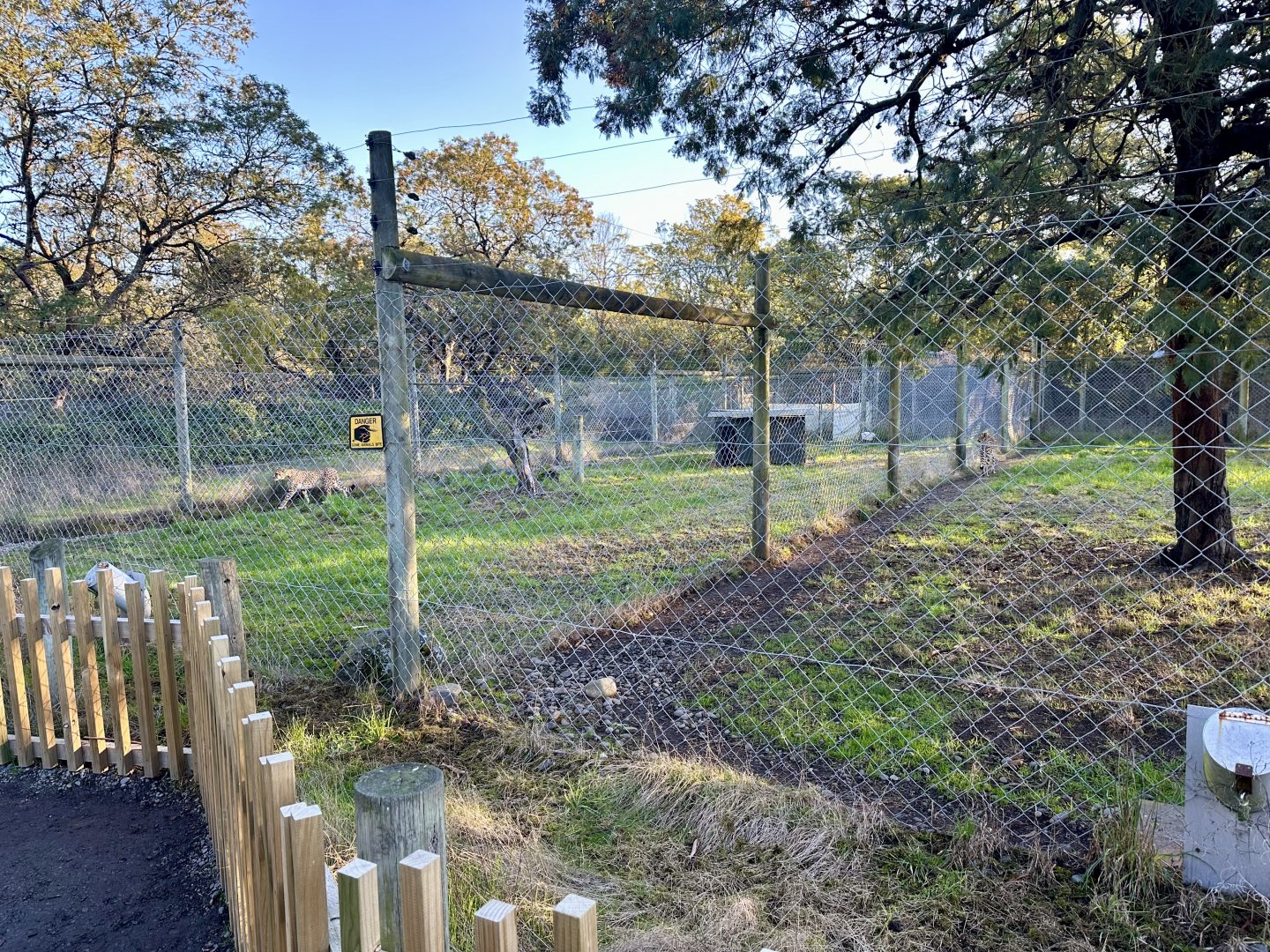 Cheetah Holding Yards