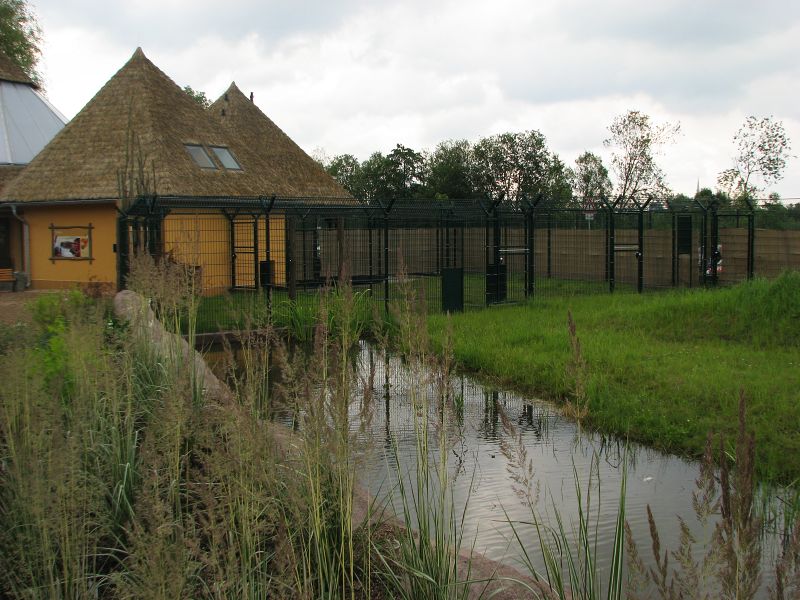 Cheetah house, yards and the main pen.