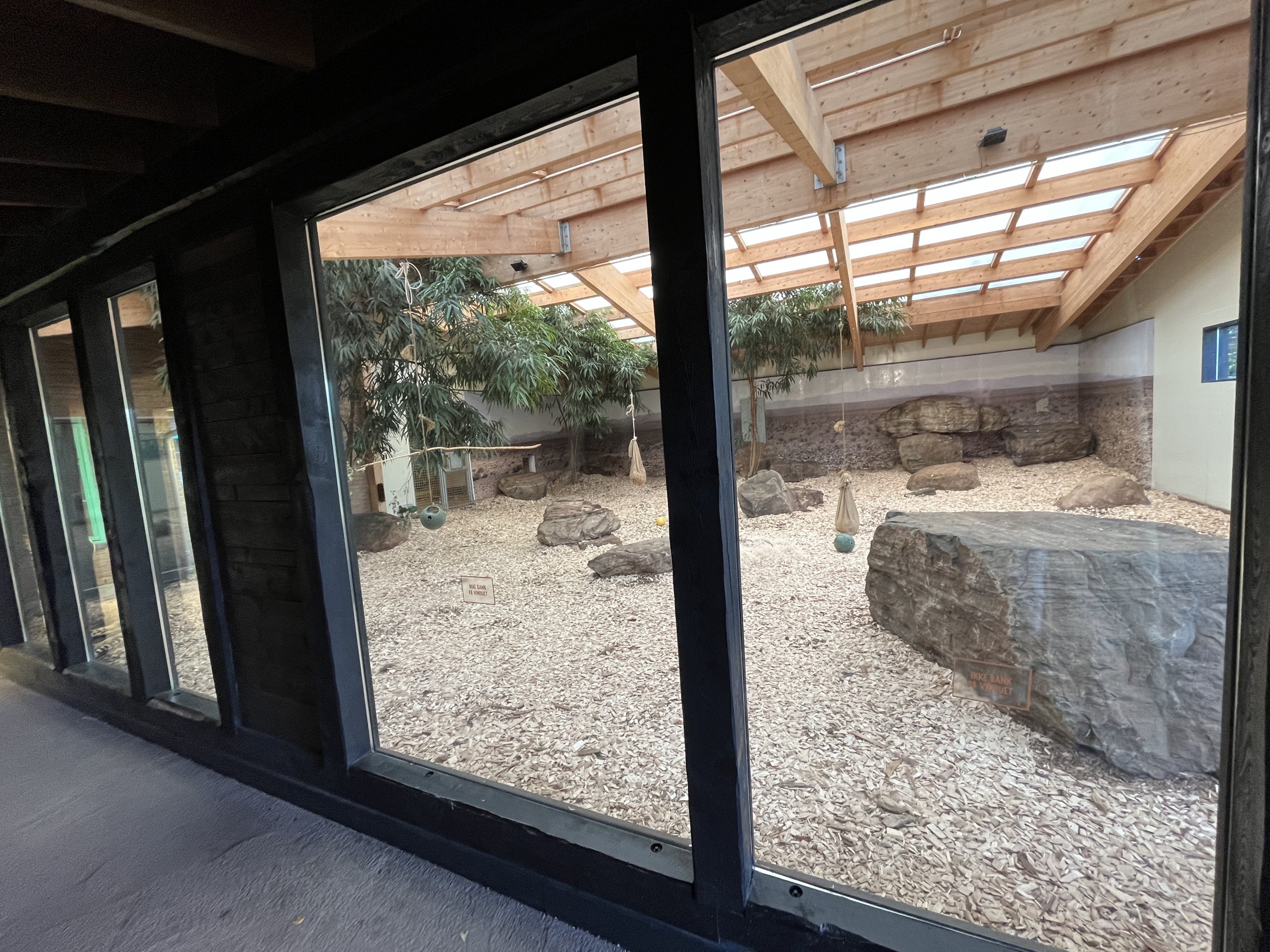 Cheetah Indoor Exhibit