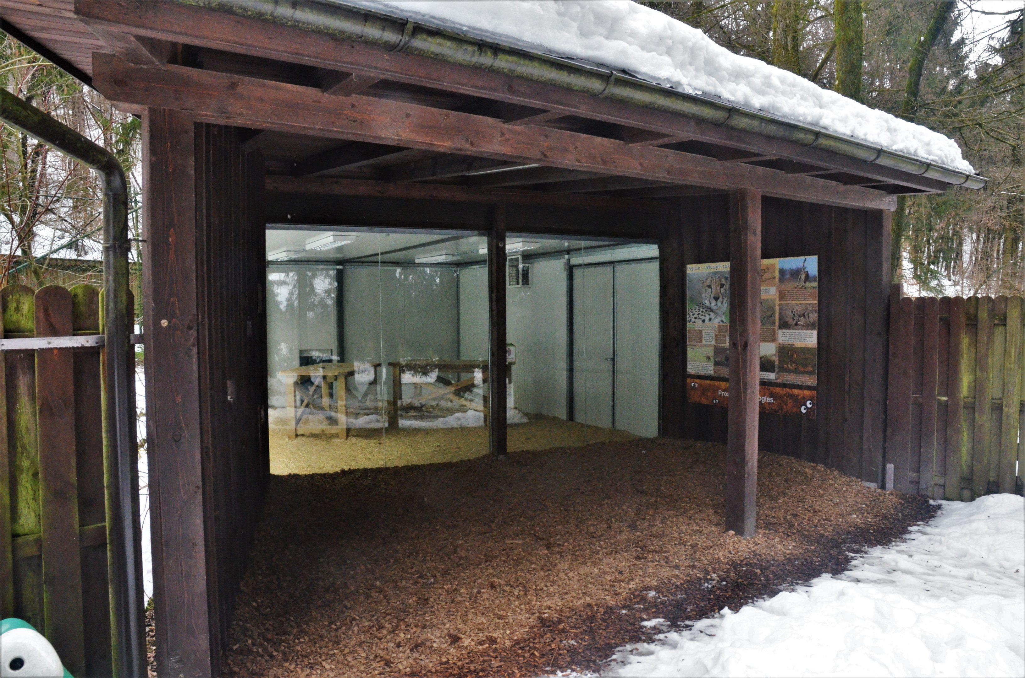 Cheetah Indoor Viewing at Ljubljana Zoo, 07/03/18
