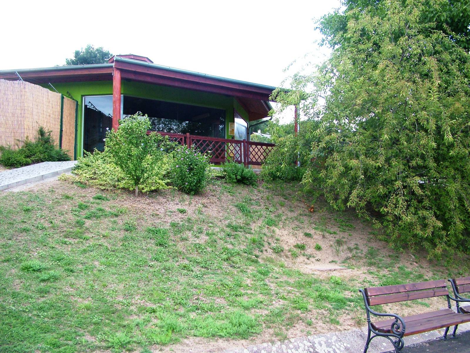 Cheetah Indoor Viewing at Usti, 29/08/12