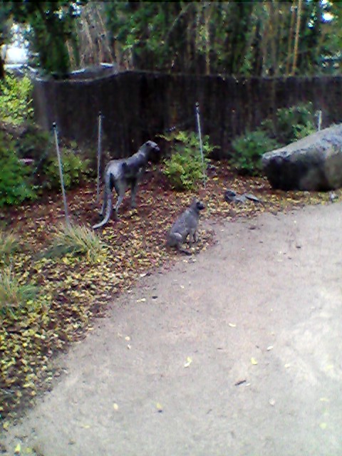 Cheetah interpretive statues
