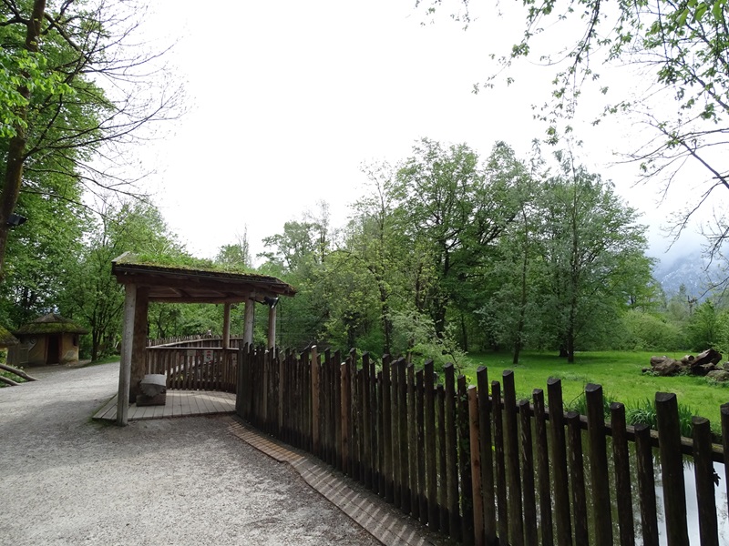 Cheetah observation area