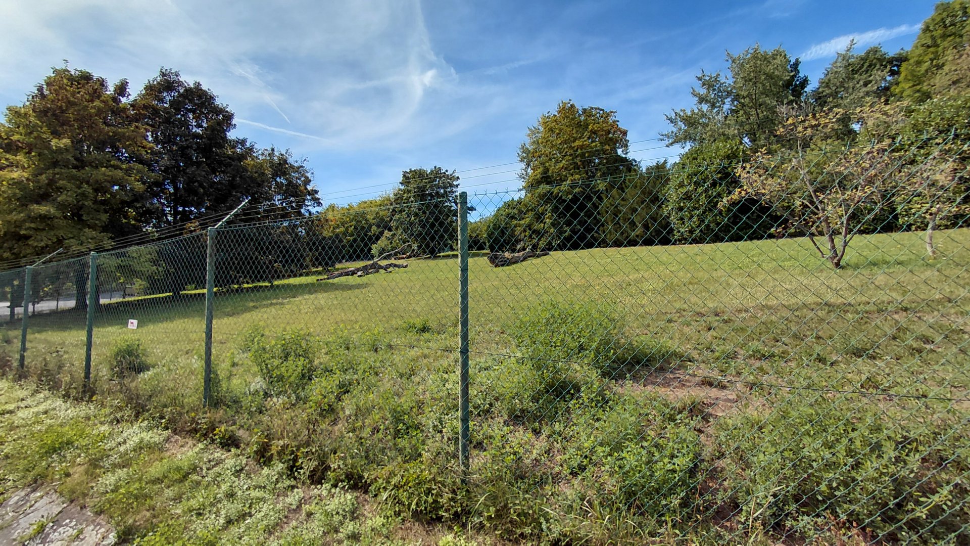 Cheetah outdoor exhibit
