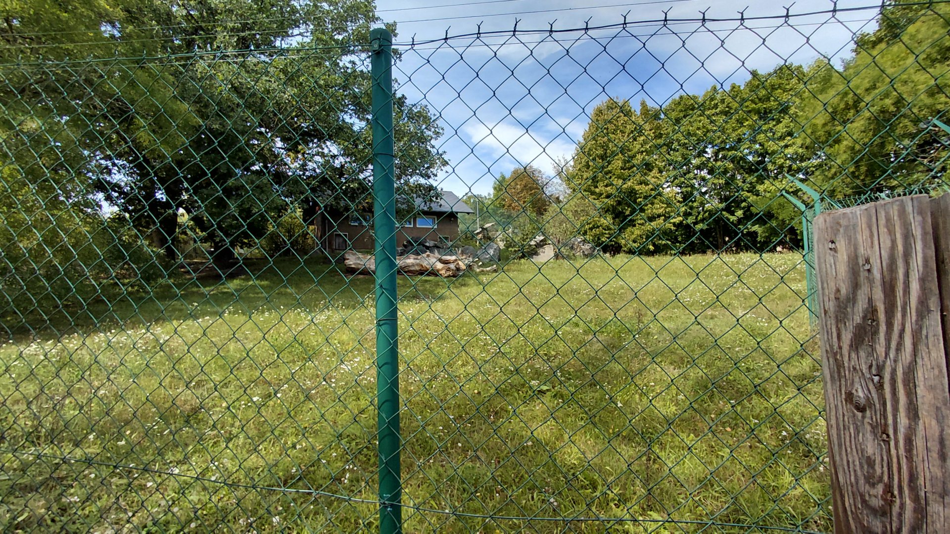 Cheetah outdoor exhibit