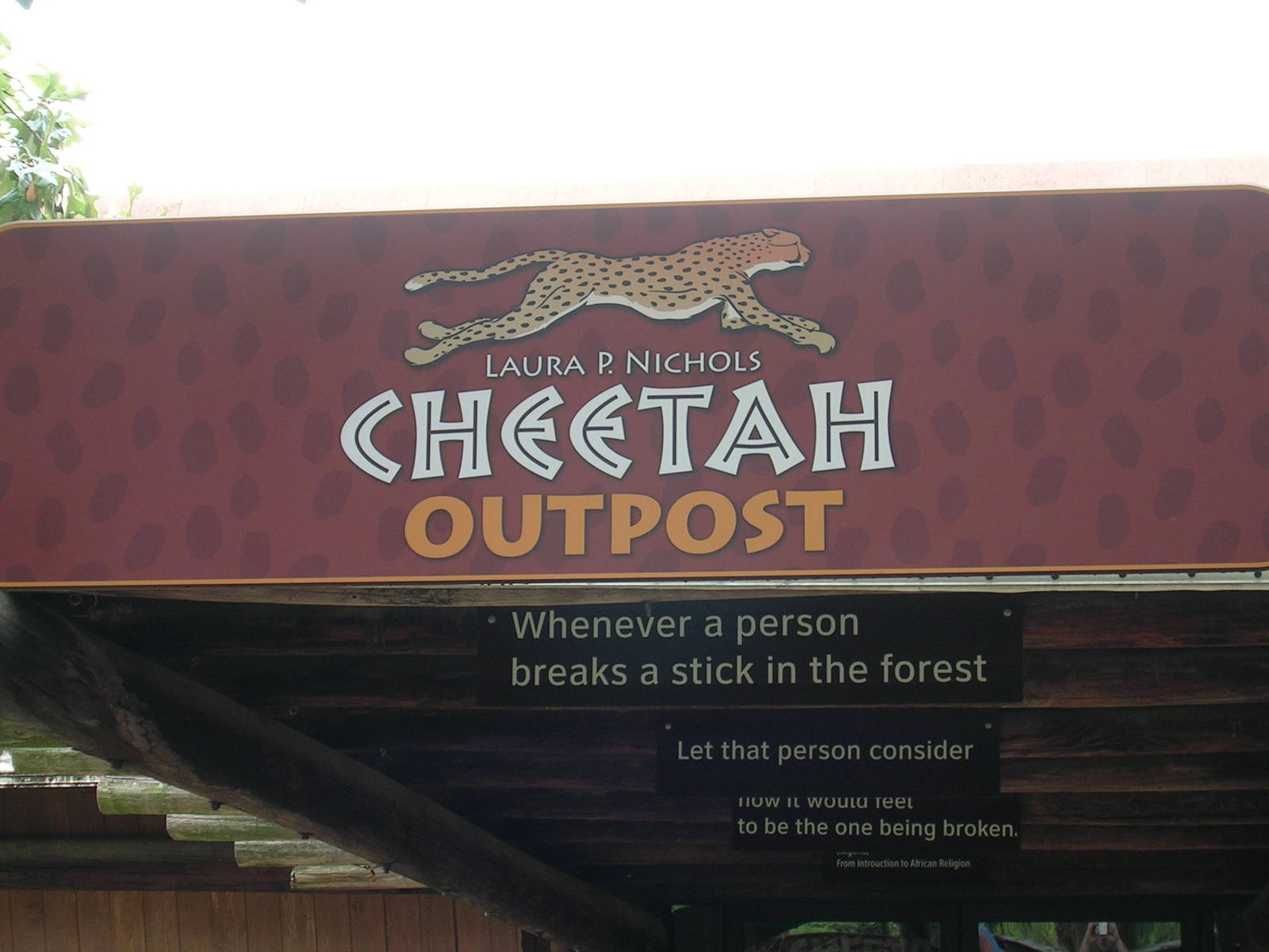Cheetah Outpost