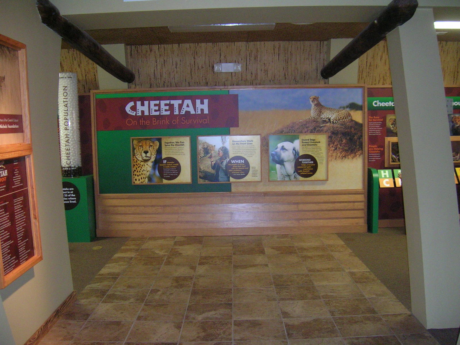 Cheetah Outpost