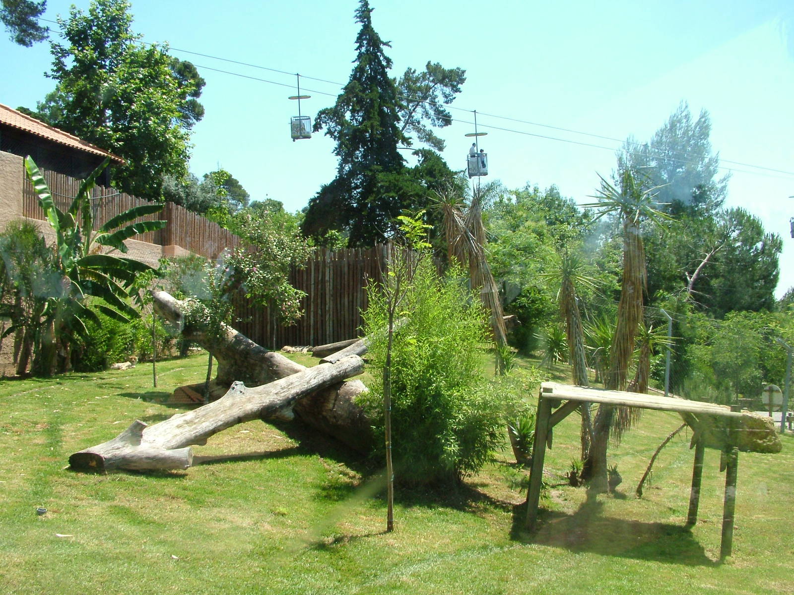 Cheetah Paddock at Lisbon Zoo, 24/05/11