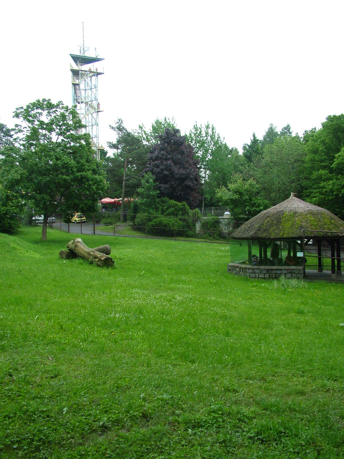 Cheetah paddock at Olomouc 30/05/09