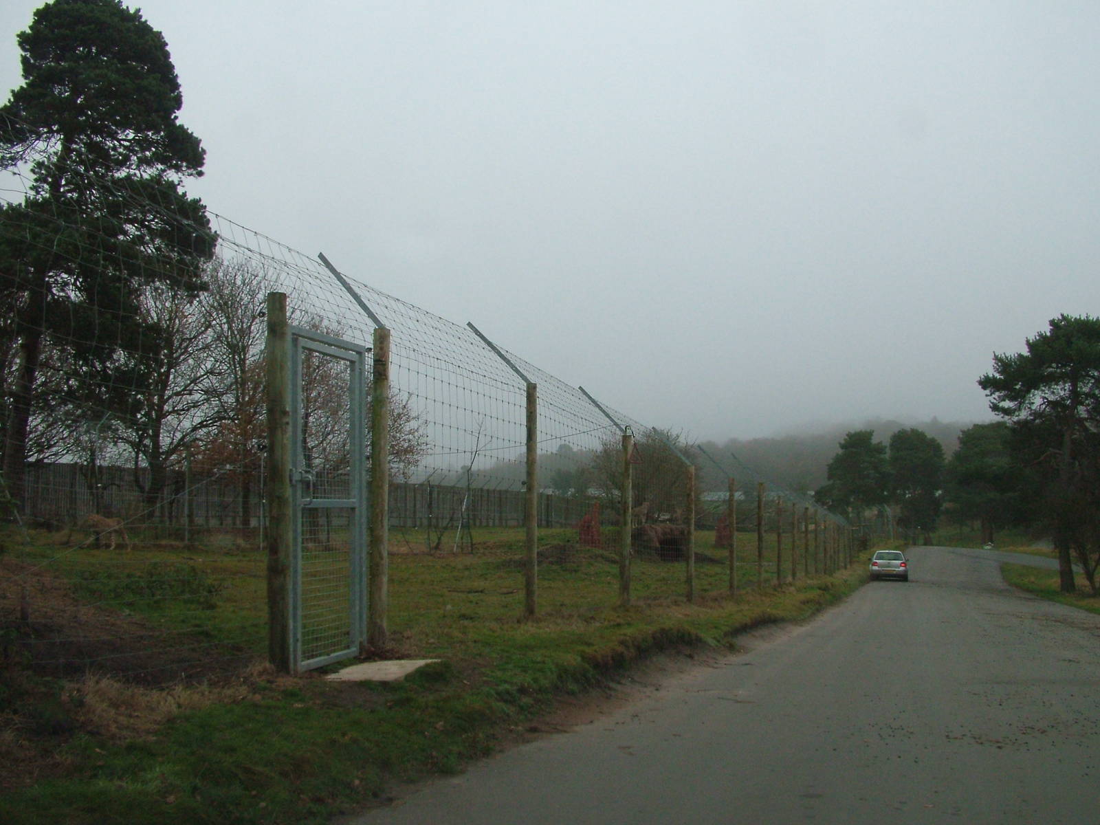 Cheetah Plains at West Mids Nov 08