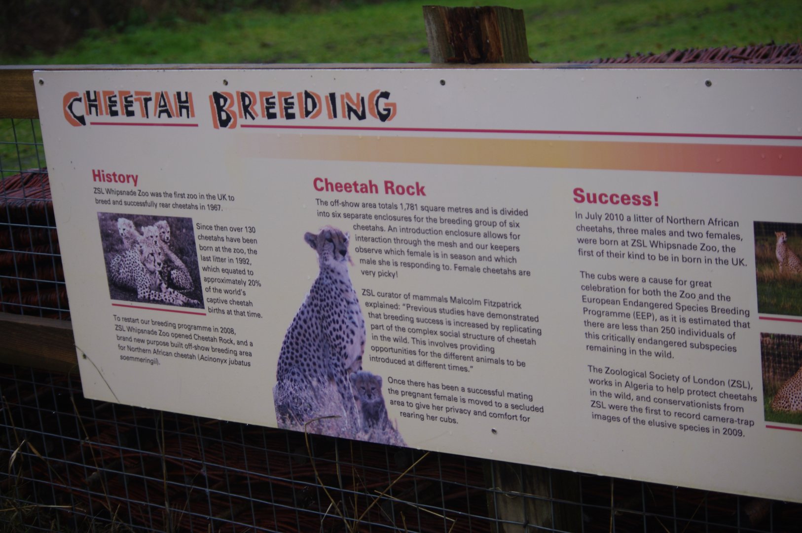 Cheetah Rock signage- 28/12/2022