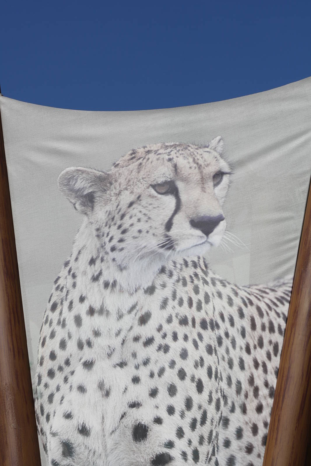 Cheetah Run Banner