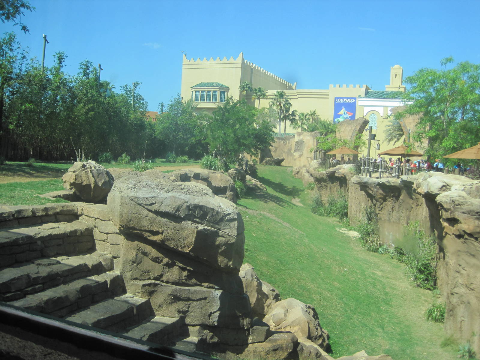 Cheetah Run- Cheetah Exhibit
