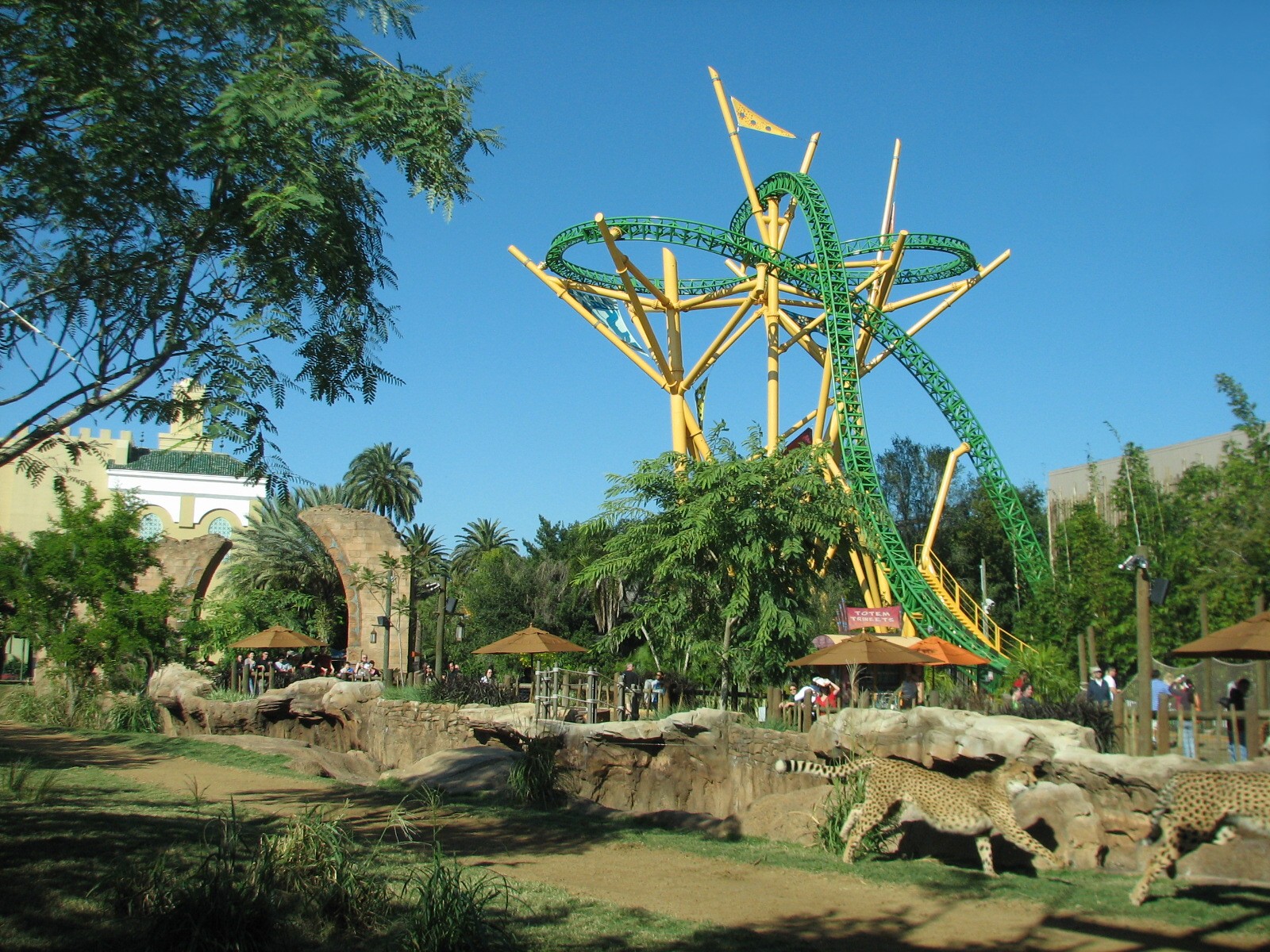 Cheetah Run - Cheetah Hunt Rollercoaster in Background