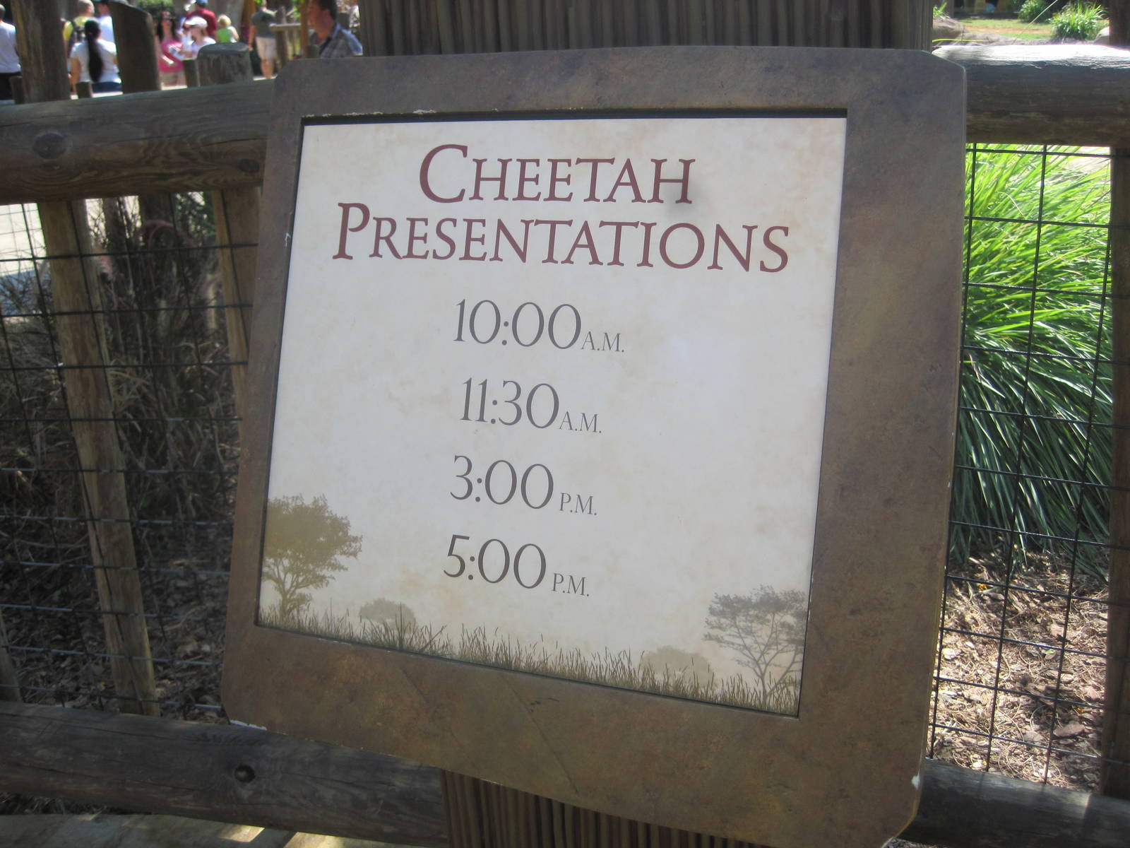 Cheetah Run- Cheetah Presentations