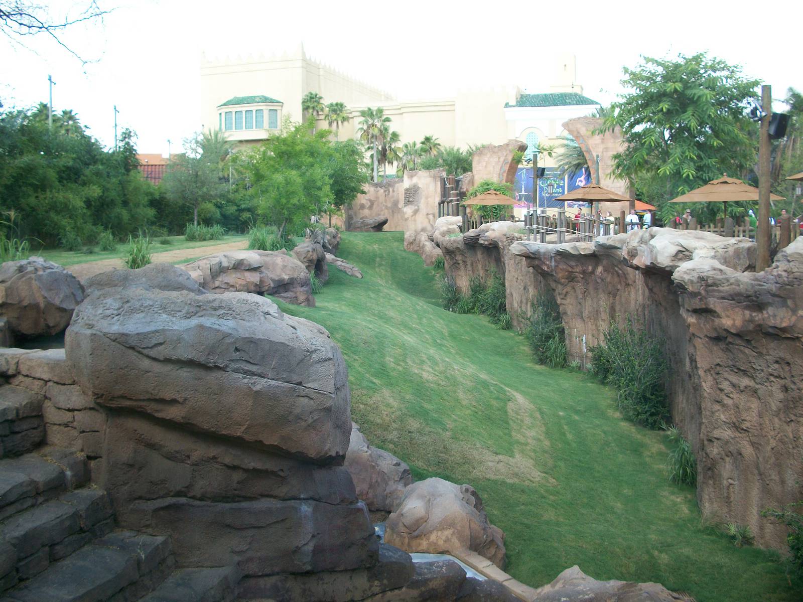 Cheetah Run Exhibit