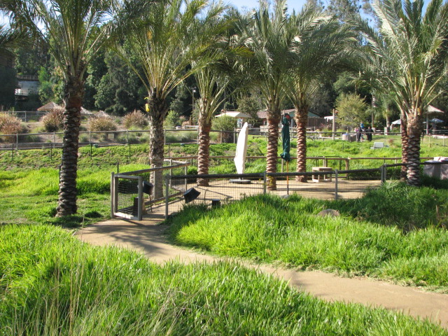 Cheetah Run - Premium Viewing Area