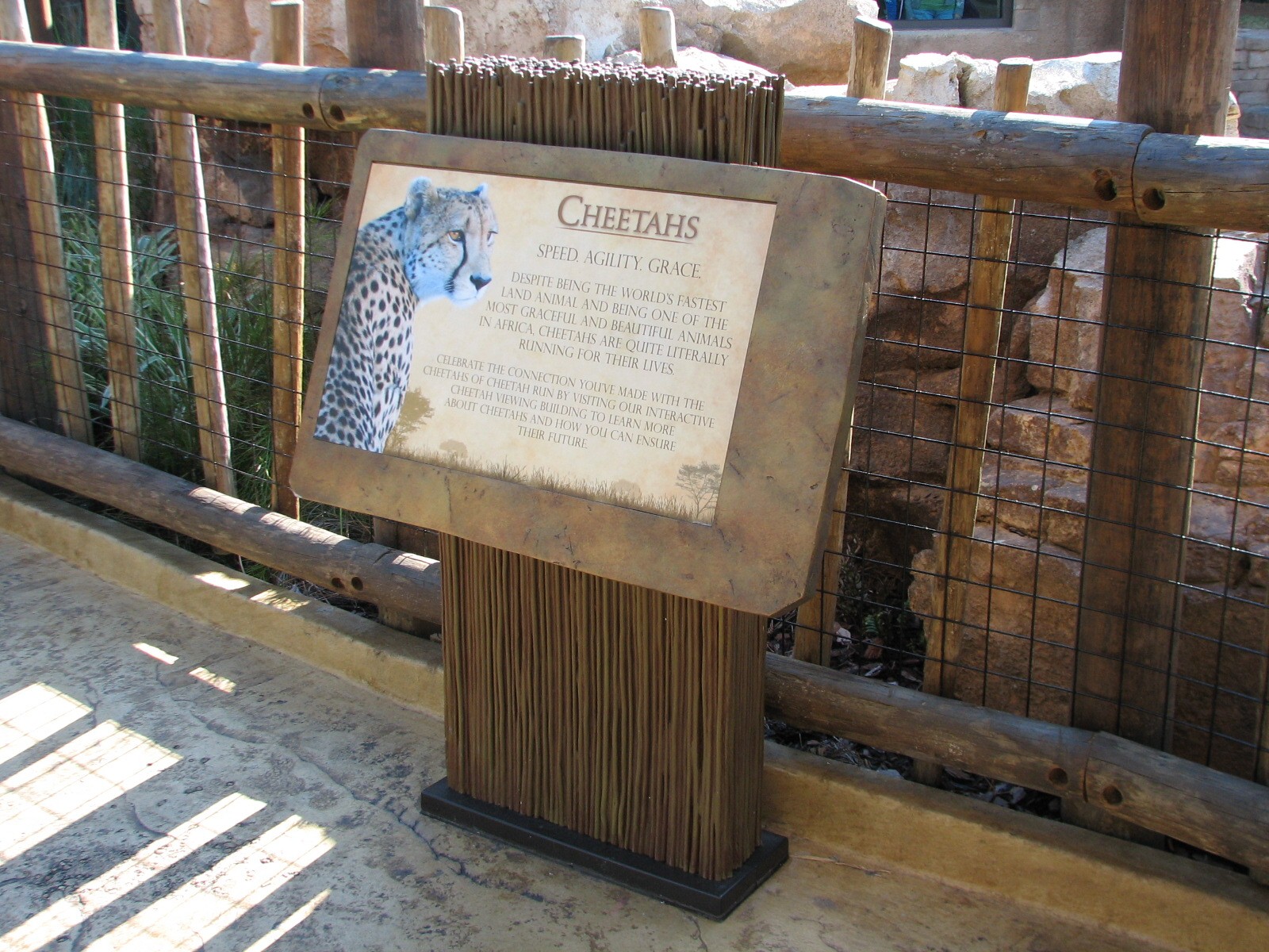 Cheetah Run - Sign