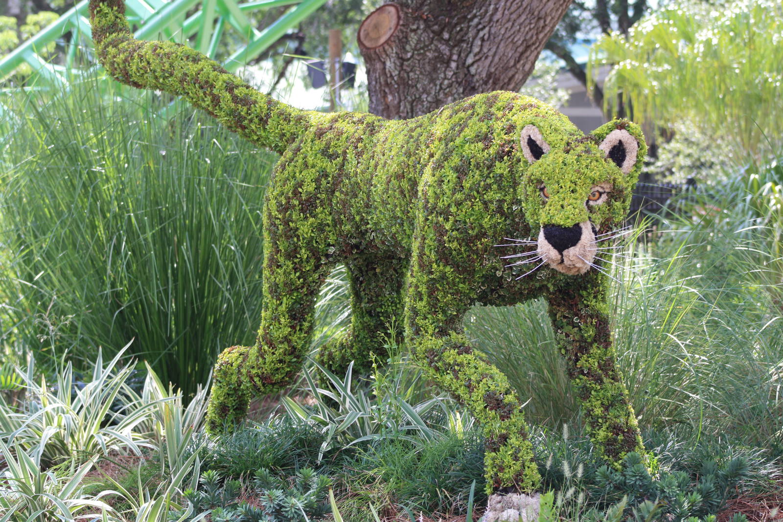 Cheetah Run Topiary