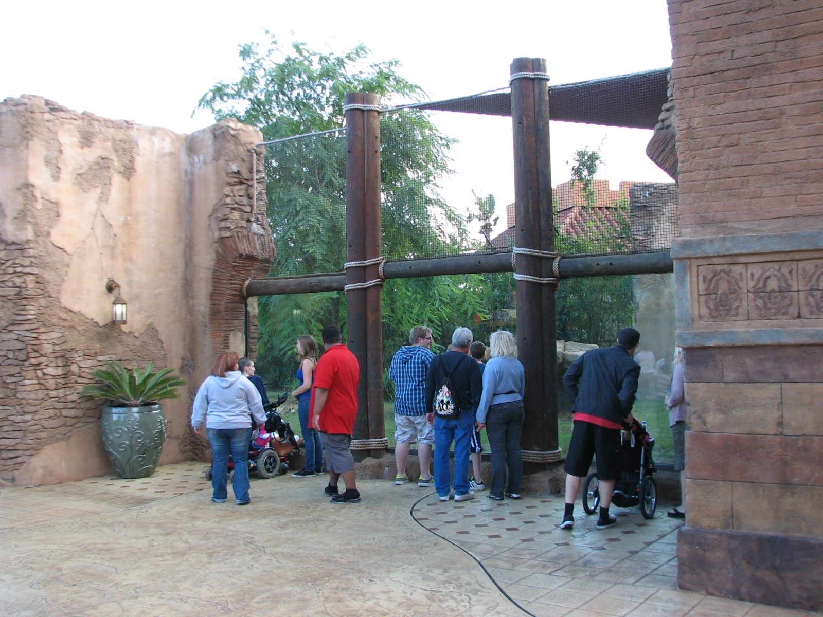Cheetah Run - Viewing Area