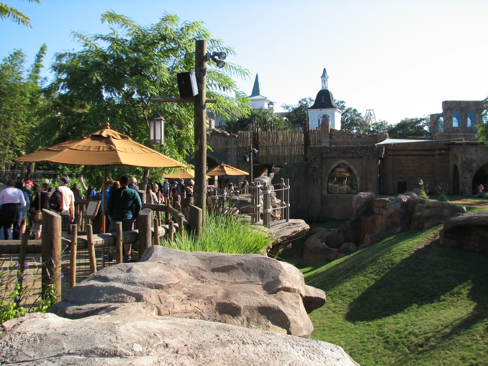 Cheetah Run - Viewing Area