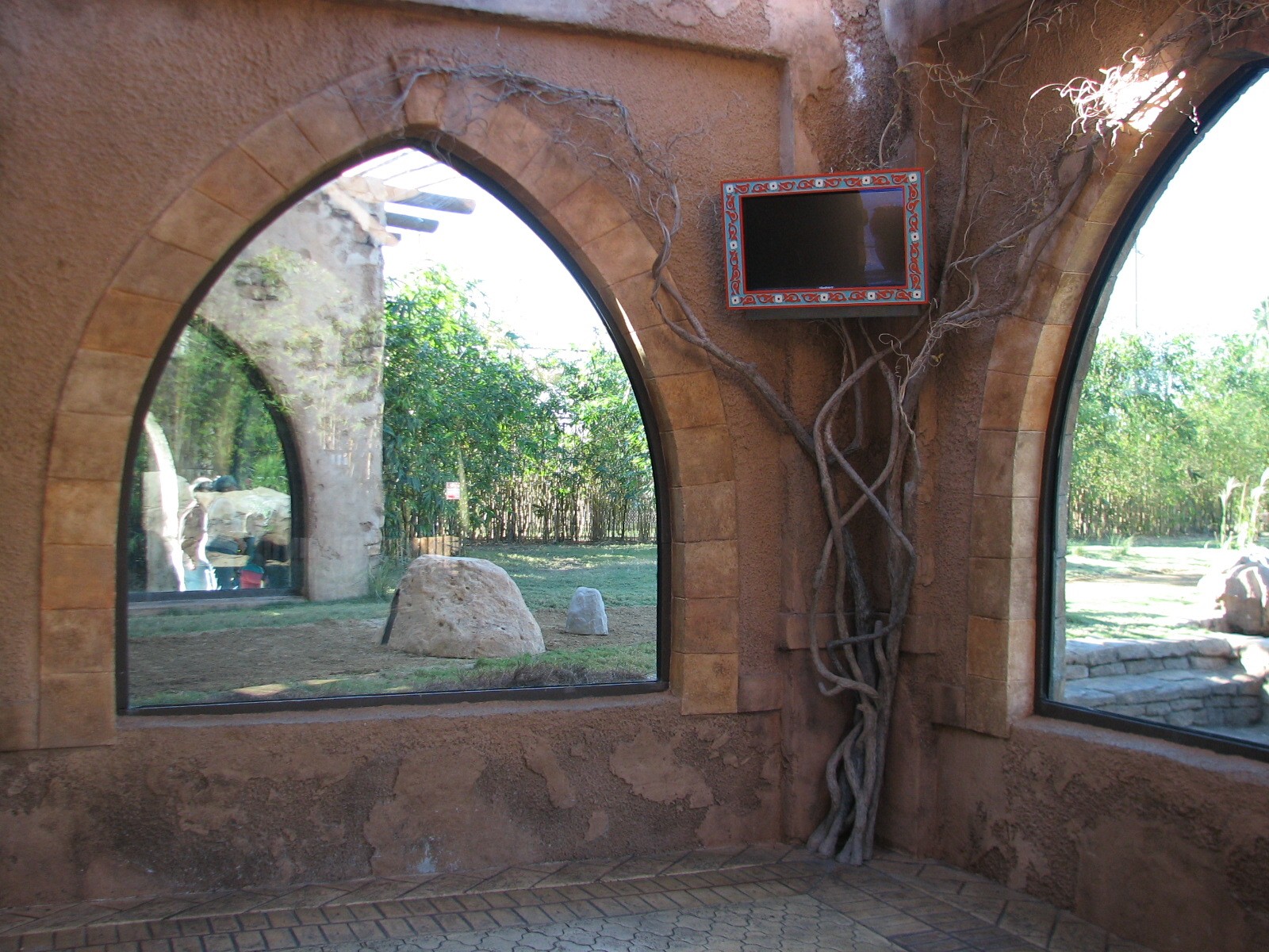 Cheetah Run - Viewing Temple