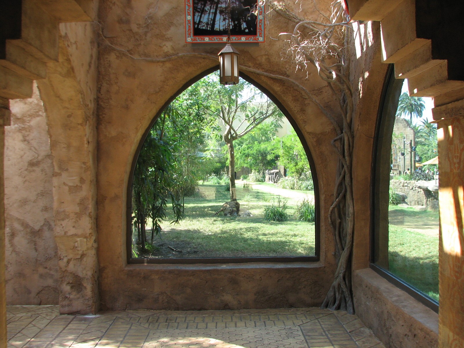 Cheetah Run - Viewing Temple