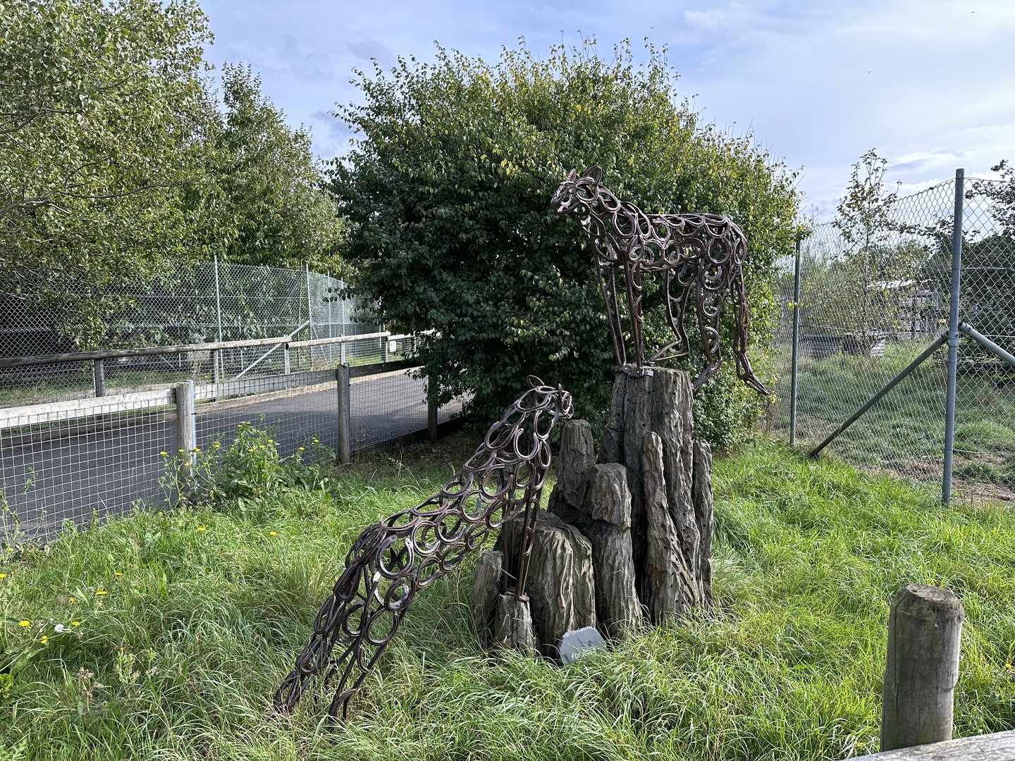 Cheetah Sculptures at Hamerton Zoo Park (October 2023)