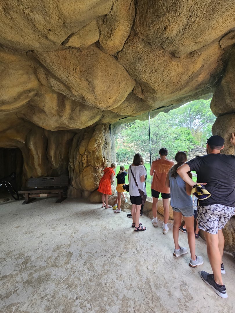 Cheetah side of the cave