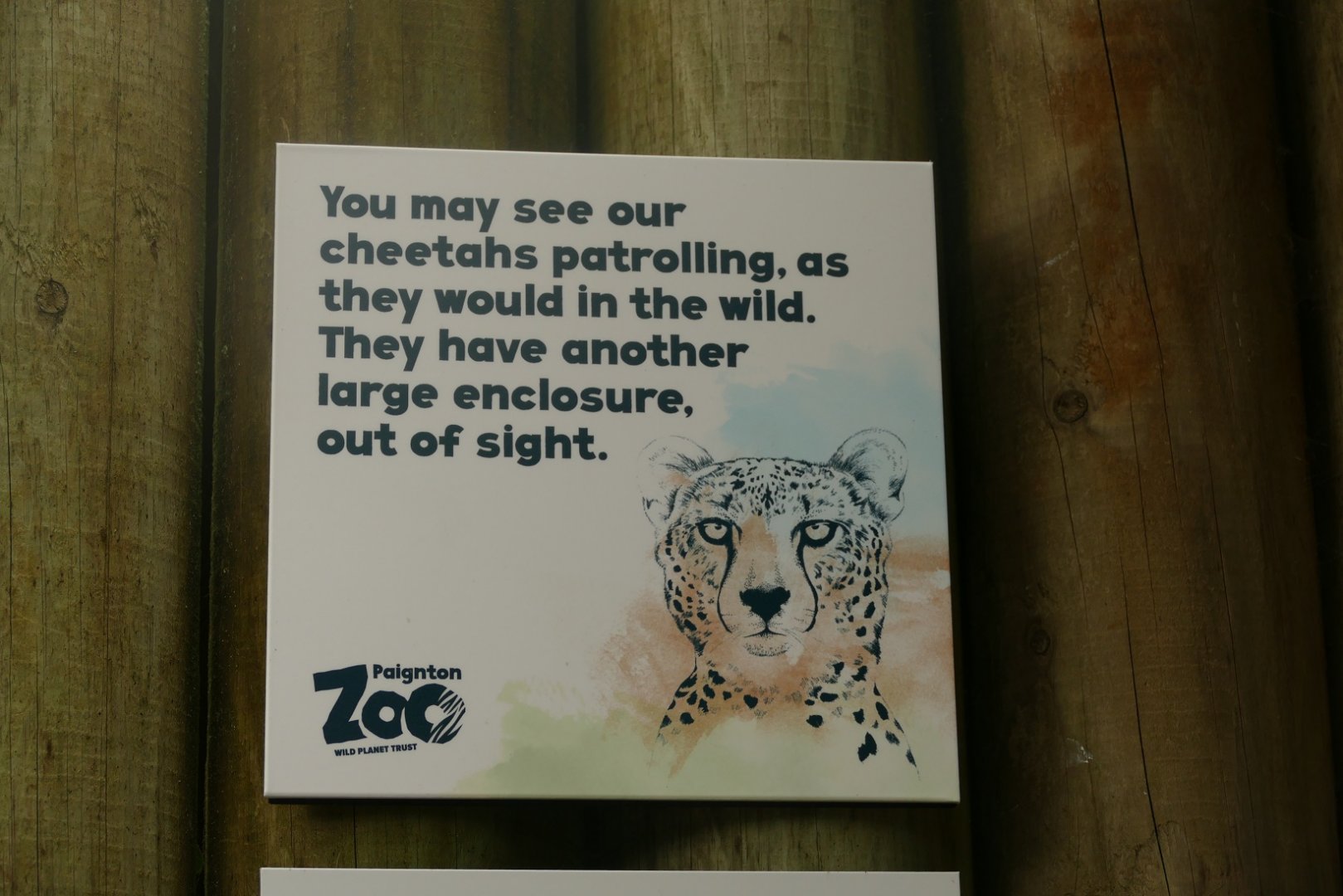 Cheetah sign, September 2021