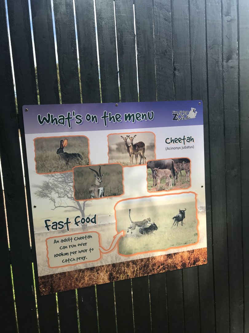Cheetah signage (2)