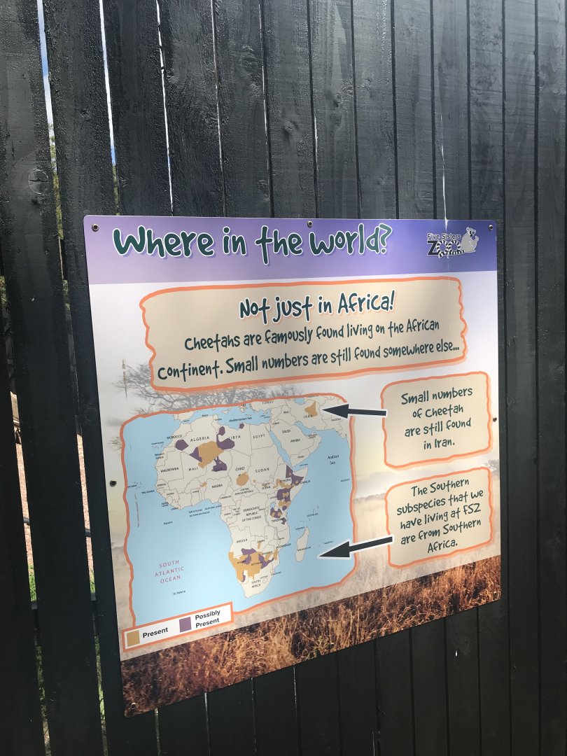 Cheetah signage (3)