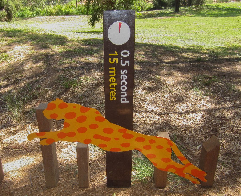 Cheetah speed graphic #2