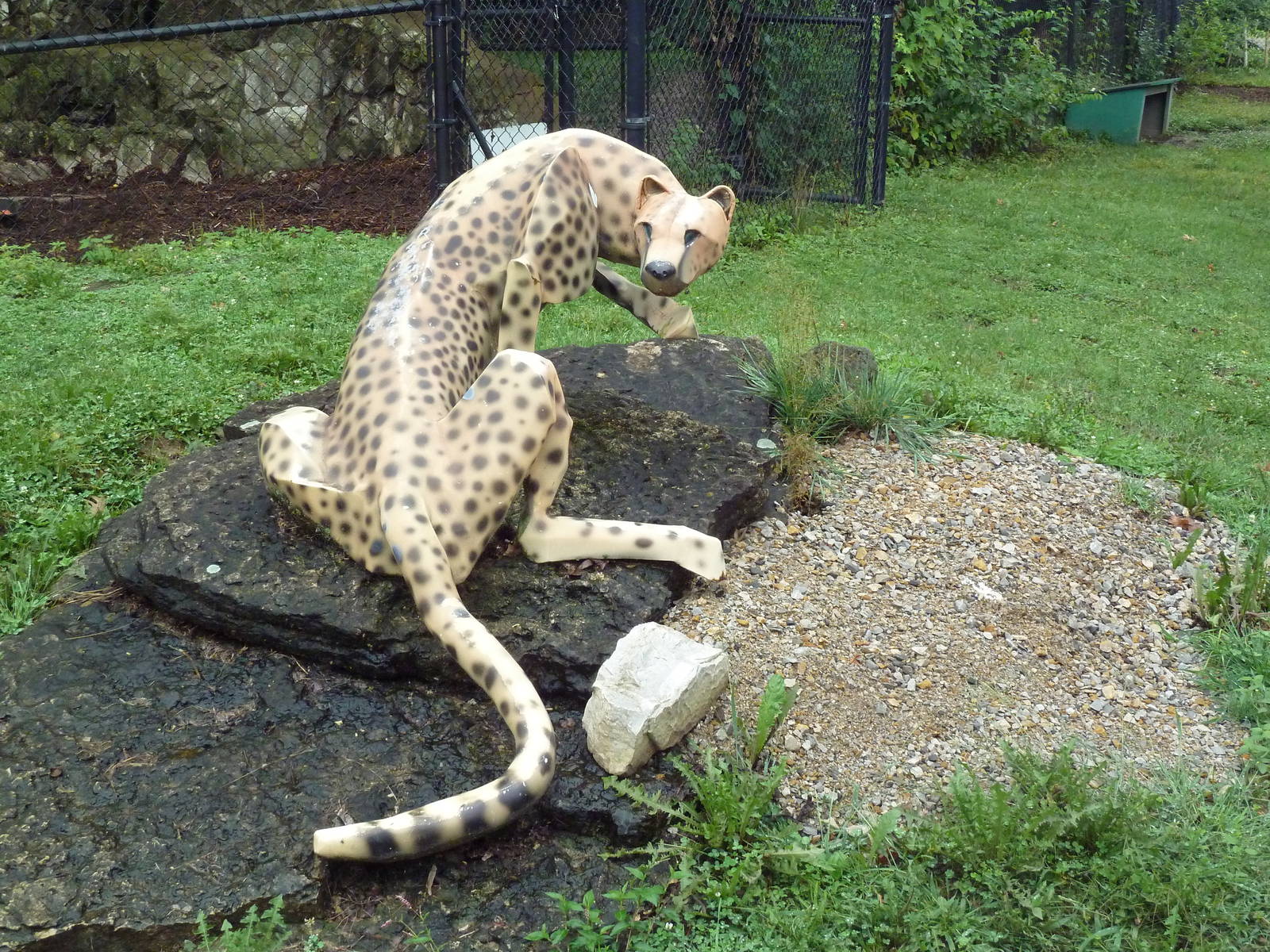 Cheetah Statue
