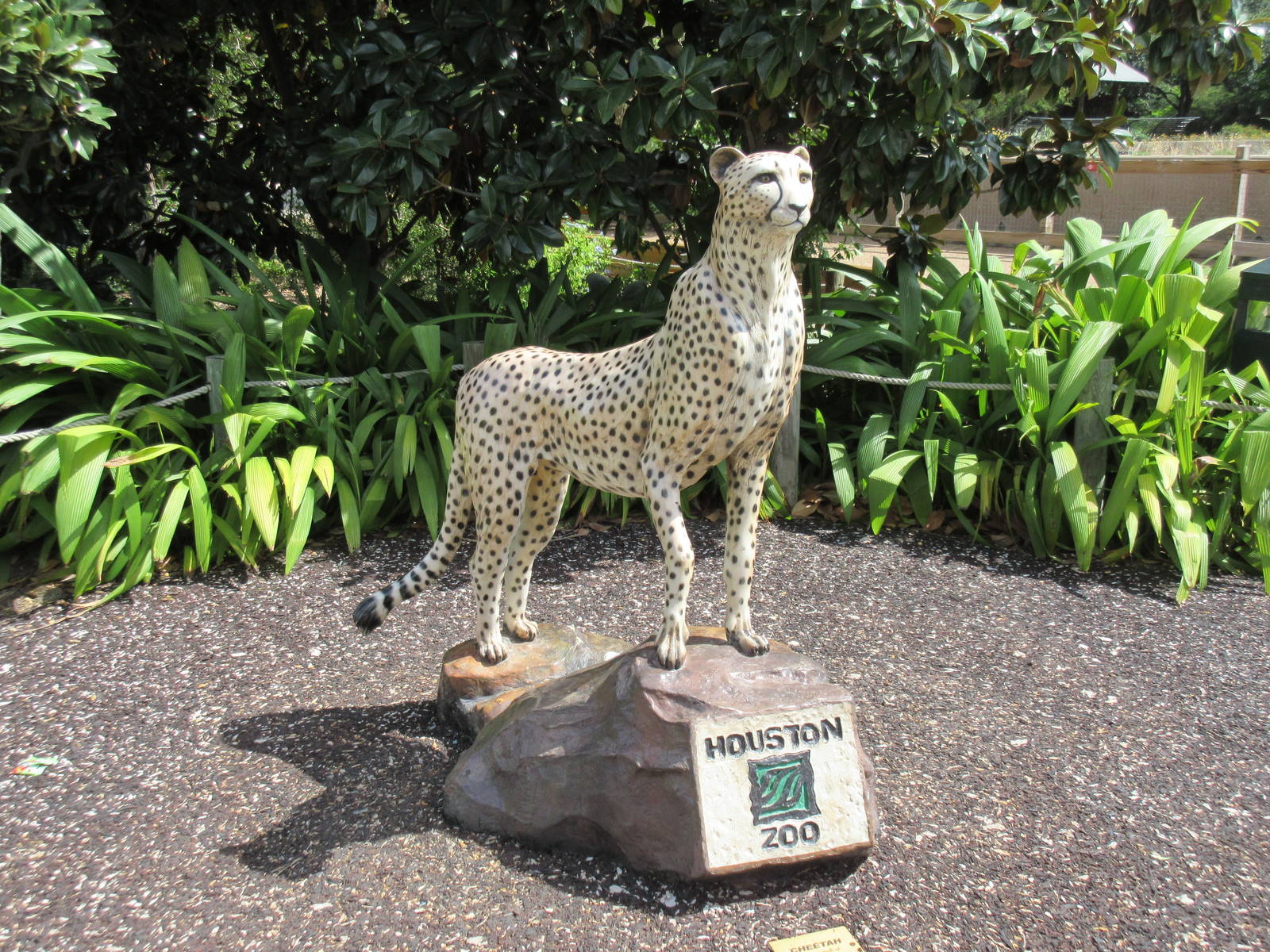 Cheetah Statue