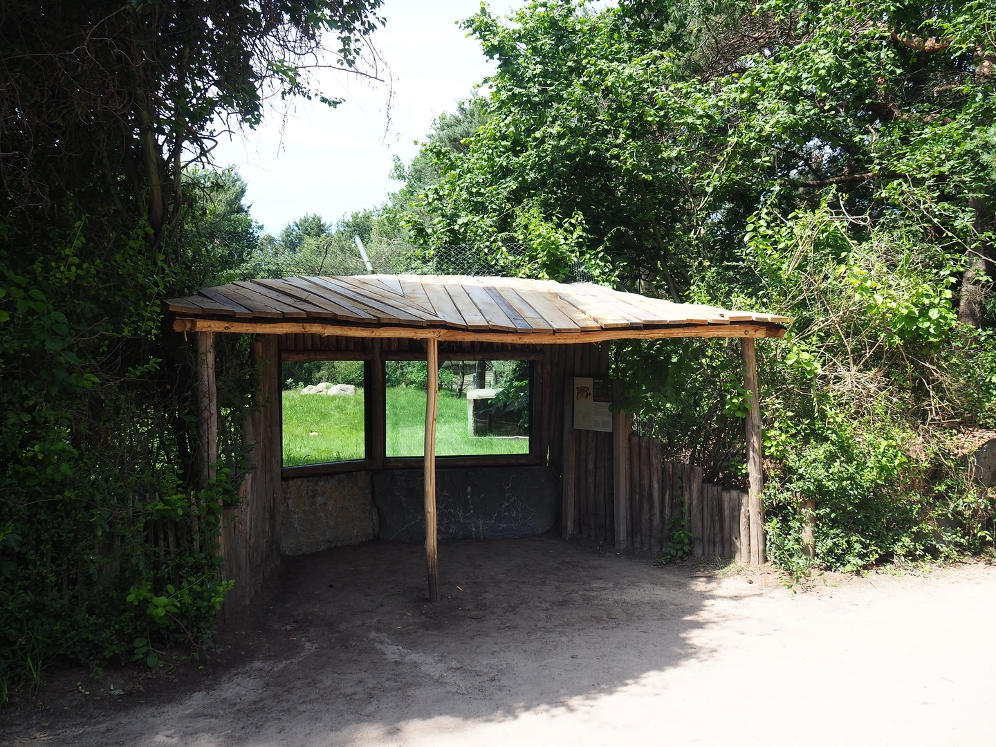 Cheetah viewing area, 2022-06-12