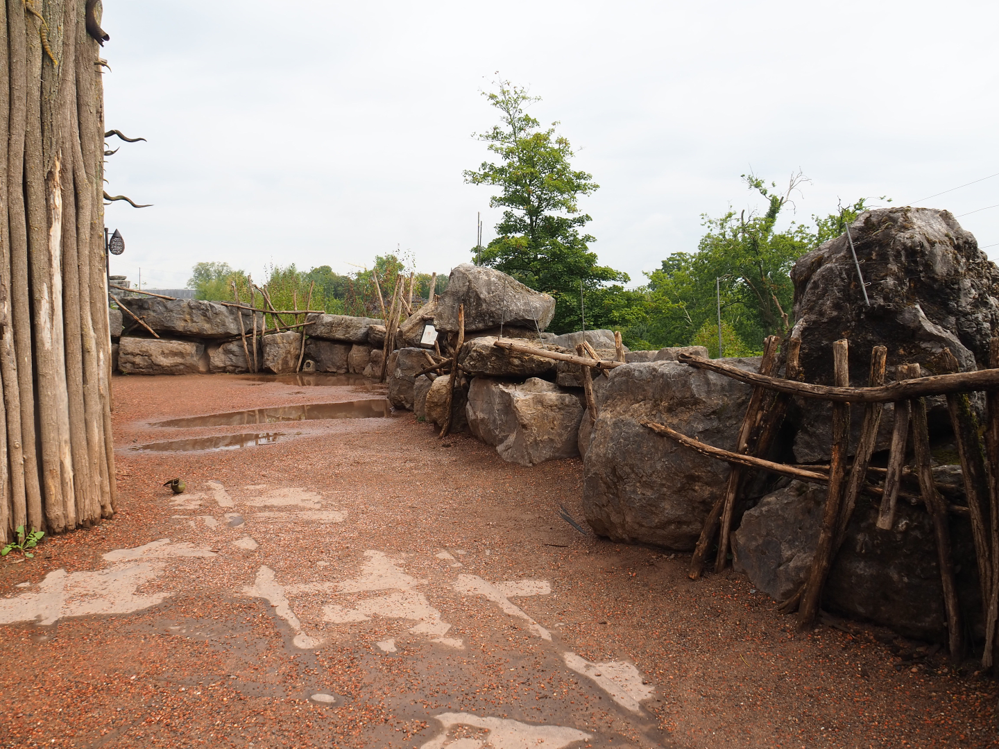 Cheetah viewing area, 2022-09-15